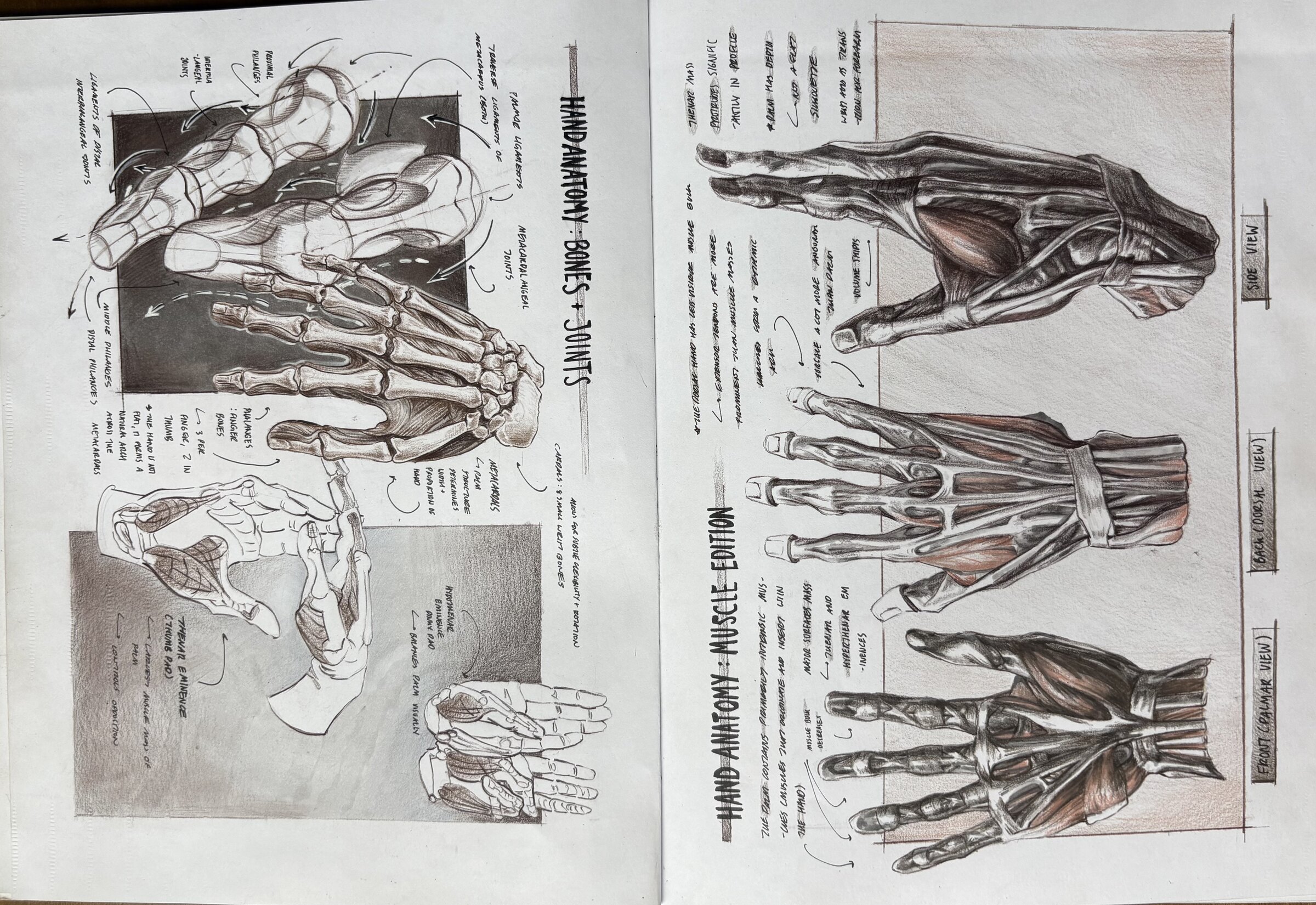 Visualizing Sketchbook