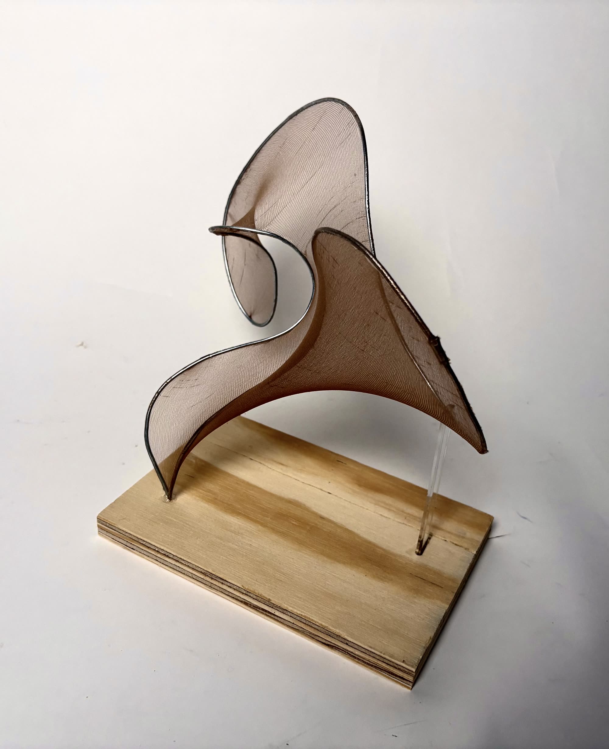 Wire Forms 6