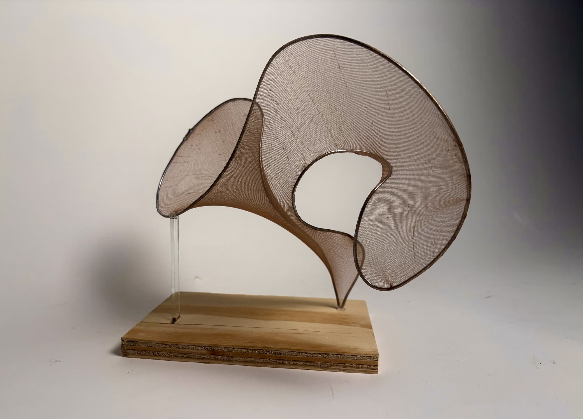 Wire Forms 3