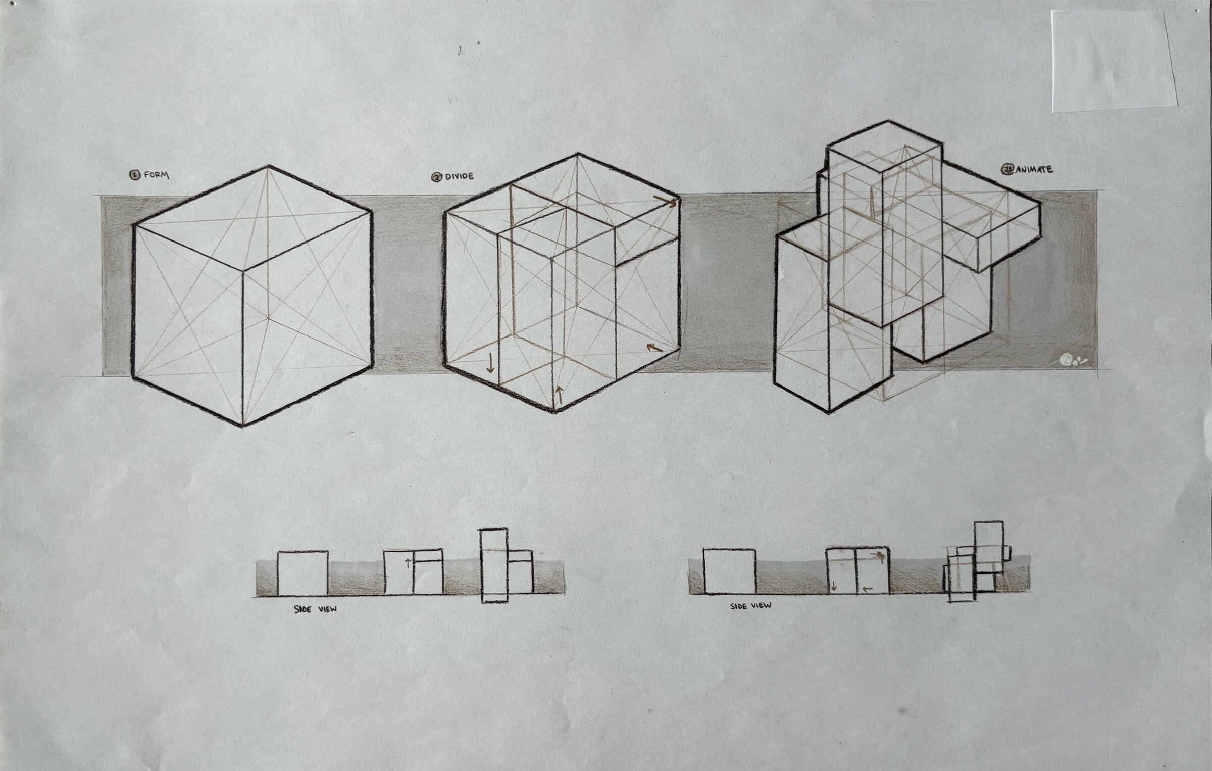 Dividing & Animating a Cube